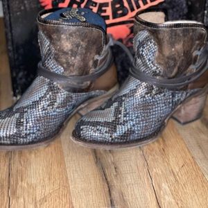 Freebird Blue Snake Casey